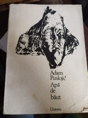Apa de baut - Adam Puslojic foto
