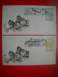 HOPCT PLIC NR 1556 CIOC INTORS / CIOCARLIA -FALTICENI/DORNISOARA 1991 JUD SUCEAVA - OCROTIREA NATURII- PASARI FAUNA -ROMANIA