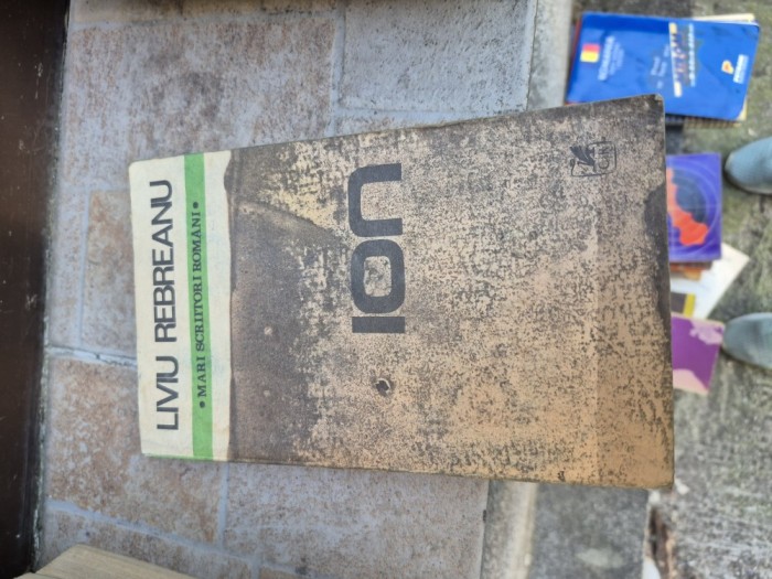 Ion vintage
