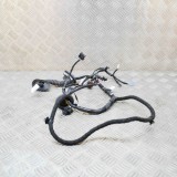 Cablaj ușă dreapta spate TESLA MODEL 3 2021 OEM: 2067966-00-B 15427701