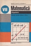 Tiberiu Spircu - Matematica. Algebra. Manual pentru clasa a VII-a