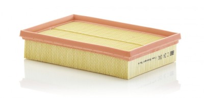 Filtru Aer Mann-Filter C24041 foto