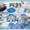 GABON 2020 - Fauna arctica / set complet colita + bloc
