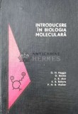 Introducere in biologia moleculara - 1968 - G. H. Haggis (AA24)