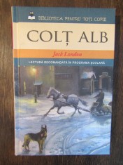 COLT ALB - JACK LONDON ,2014 foto