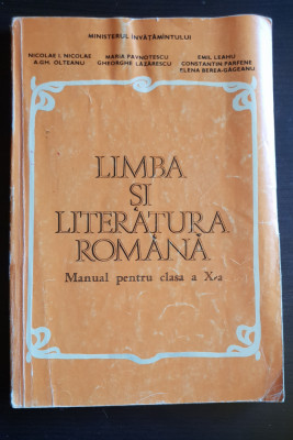 Limba și literatura rom&amp;acirc;nă. Manual pentru clasa a X-a -Nicolae I. Nicolae, Leahu foto