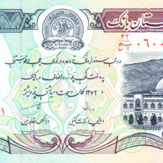 Bancnota Afganistan 5.000 Afghanis SH1372 (1993) - P62 UNC