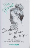 Cicatrici in chip de aripi - Erin Stewart