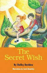 The Secret Wish, Paperback/Shelley Davidow foto