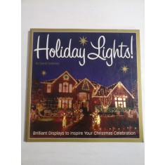 HOLIDAY LIGHTS ! - DAVID SEIDMAN