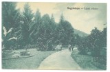 5705 - BAIA MARE, Maramures, Officers walking through the Public Garden, Romania - old postcard - unused