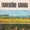 Traversind Sahara