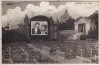 Arad. Cinema de vara (circulata 1928)