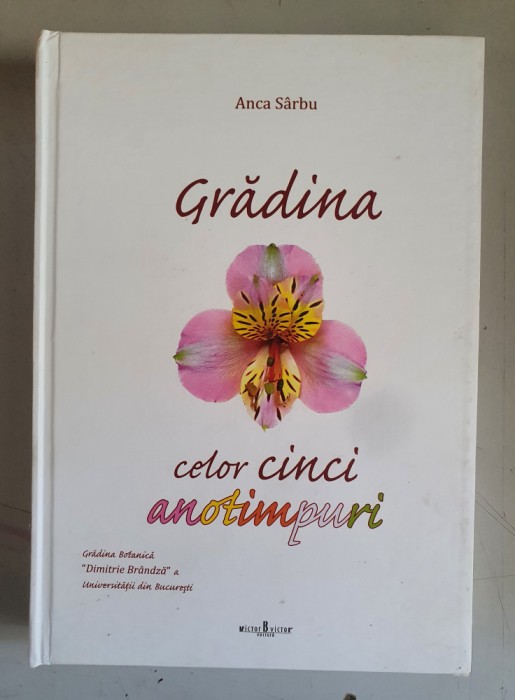 GRADINA CELOR CINCI ANOTIMPURI - ANCA SARBU
