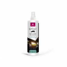 Spray auto „Absoarbe mirosurile”, Briza marina 100 ml