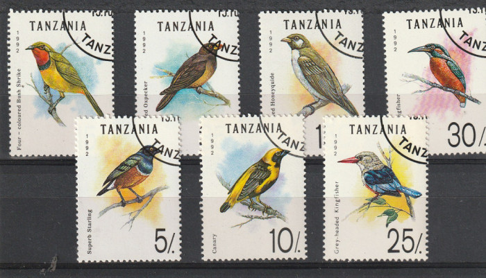 Fauna ,pasari,Tanzania.