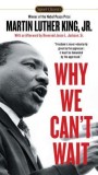 Why We Can&#039;t Wait