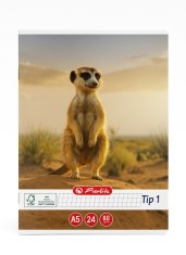 Caiet A5 matematica Tip 1 , 24 file, Herlitz, coperta suricata