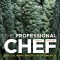 The Professional Chef