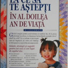 La ce sa te astepti in al doilea an de viata. Lunile 12-24 din viata – Heidi Murkoff