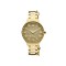Ceas Dama, Police, Tropea PEWLG2109802 - Marime universala