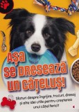 Asa se dreseaza un catelus! - Kreativ