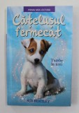 CATELUSUL FERMECAT - TUMBE IN NORI de SUE BENTLEY , ilustratii de ANGELA SWAN , 2018