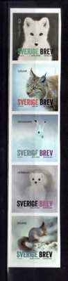 SUEDIA 2020 FAUNA ANIMALE SALBATICE DE LA POLUL NORD IN CARNET foto