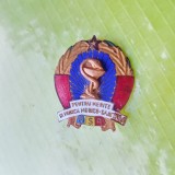 F657-Insigna RSR-Pentru merite in munca medico-sanitara bronz aurit si emailat.