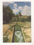 FA145 -Carte Postala - ISRAEL - Jericho. Elisha Spring, necirculata