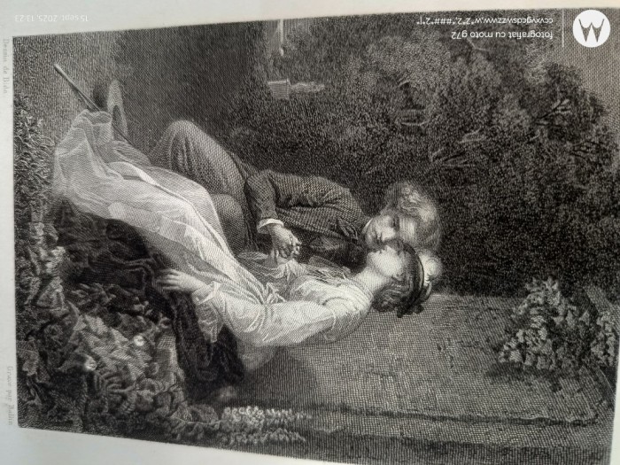 gravura veche pe hartie cartonata lucioasa , pentru colectie sau pentru inramare pe un format A4