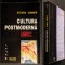 CULTURA POSTMODERNA O Introducere in Teoriile Contemporane Steven Connor 405 pag