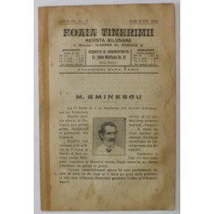 FOAIA TINERIMII , REVISTA BILUNARA , NR. 7 , APARUTA LA BUCURESTI , 1919