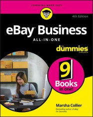 Ebay Business All-In-One for Dummies foto