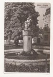 RF69 -Carte Postala- Sibiu, Fantana aretziana, circulata 1960