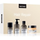 Beauty Discovery Box Notino Hair Repair (L'Or&eacute;al Professionnel) set pentru femei