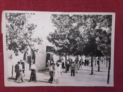 Statiunea Vasile Roaita (Eforie Sud) - vedere RPR necirculata foto