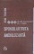 Foto  - 1