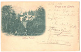 SV * Sinaia * LITHO 1899 * CASTELUL PELES, Circulata, Printata, Prahova