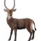 Antilopa africana- Collecta