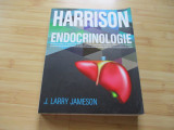 J. LARRY JAMESON - HARRISON - ENDOCRINOLOGIE--factura