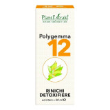 Polygemma 12 rinichi detoxifiere 50ml, Plantextrakt