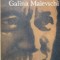 MIHAIL SOLOHOV. MONOGRAFII-GALINA MAIEVSCHI-237115