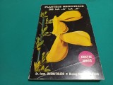 PLANTE MEDICINALE DE LA A LA Z * OVIDIU BUJOR, MIRCEA ALEXAN / 1997 * H