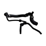 Conducta Apa 480531 115877