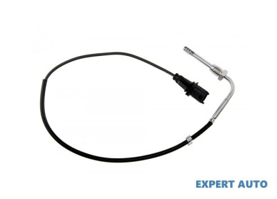 Senzor temperatura gaze dpf Fiat 500 (2007-&amp;gt;) [312_] #1 foto