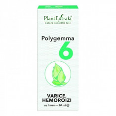 Polygemma 6 varice hemoroizi 50 ml - Plant Extrakt TM foto