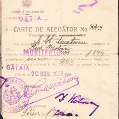 HST A1063 Carte de alegător România 1928 Morițfeld Banat