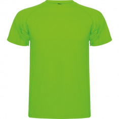 Tricou barbati Montecarlo T-Shirt lime CA0425LIME foto