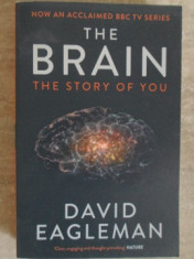 THE BRAIN. THE STORY OF YOU-DAVID EAGLEMAN foto